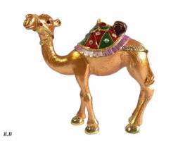 Kamel Hurghada Safari - Bild vergr��ern 