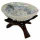 Abalone Muschel H. Midae + Kobra Dreifu�
