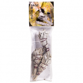 Wei�er Salbei (White Sage) 3 x B�ndel - Bild vergr��ern 