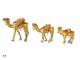 3er-Set Kamele Wei�e W�ste