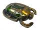 Skarab�us (Scarab�us)